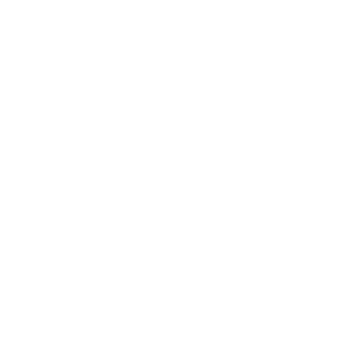 white-logo2